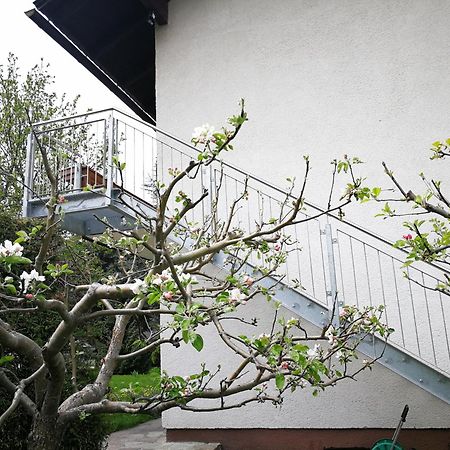 Angi'S Apartment 穆劳附近圣洛伦岑 客房 照片