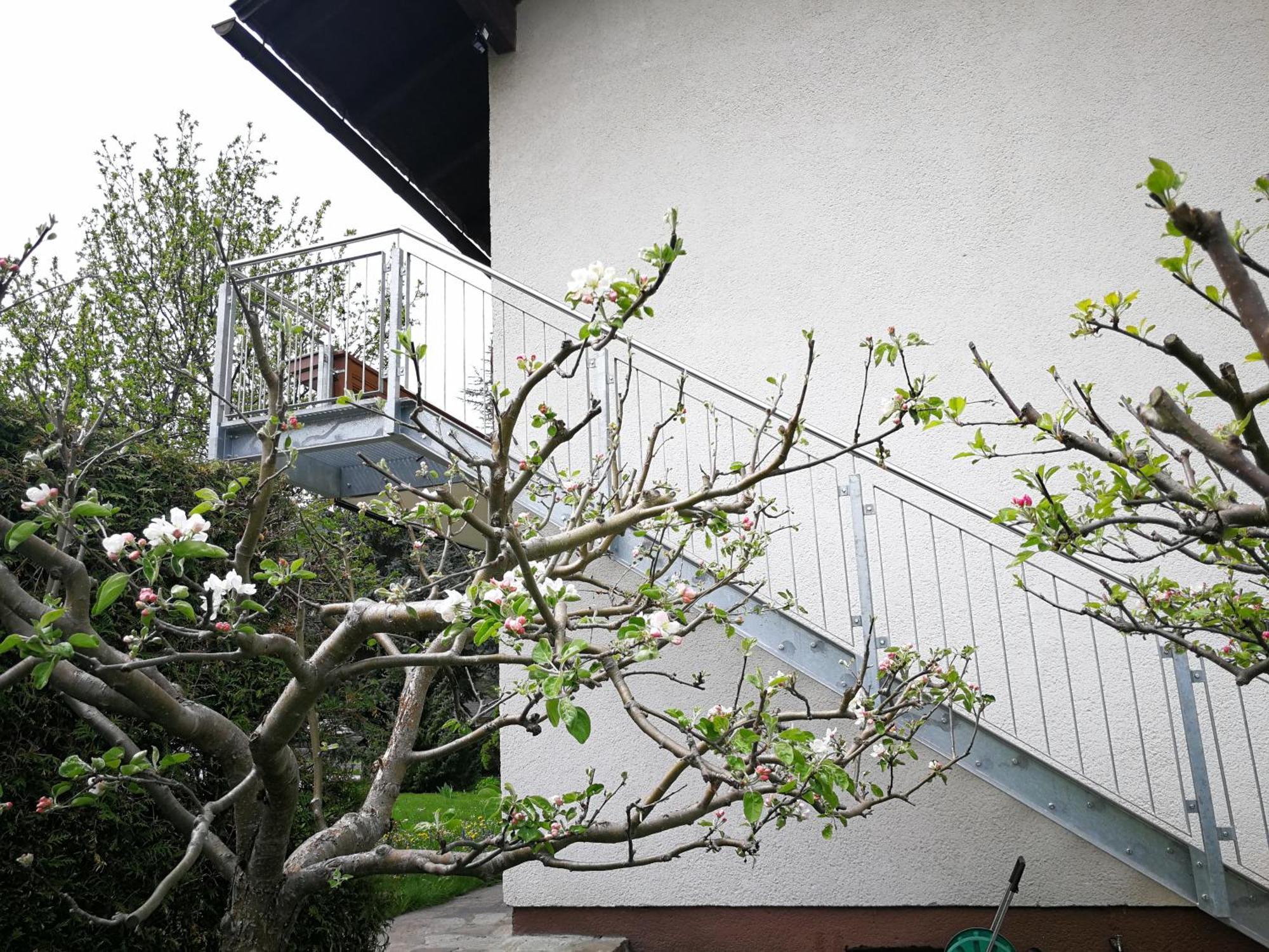 Angi'S Apartment 穆劳附近圣洛伦岑 客房 照片